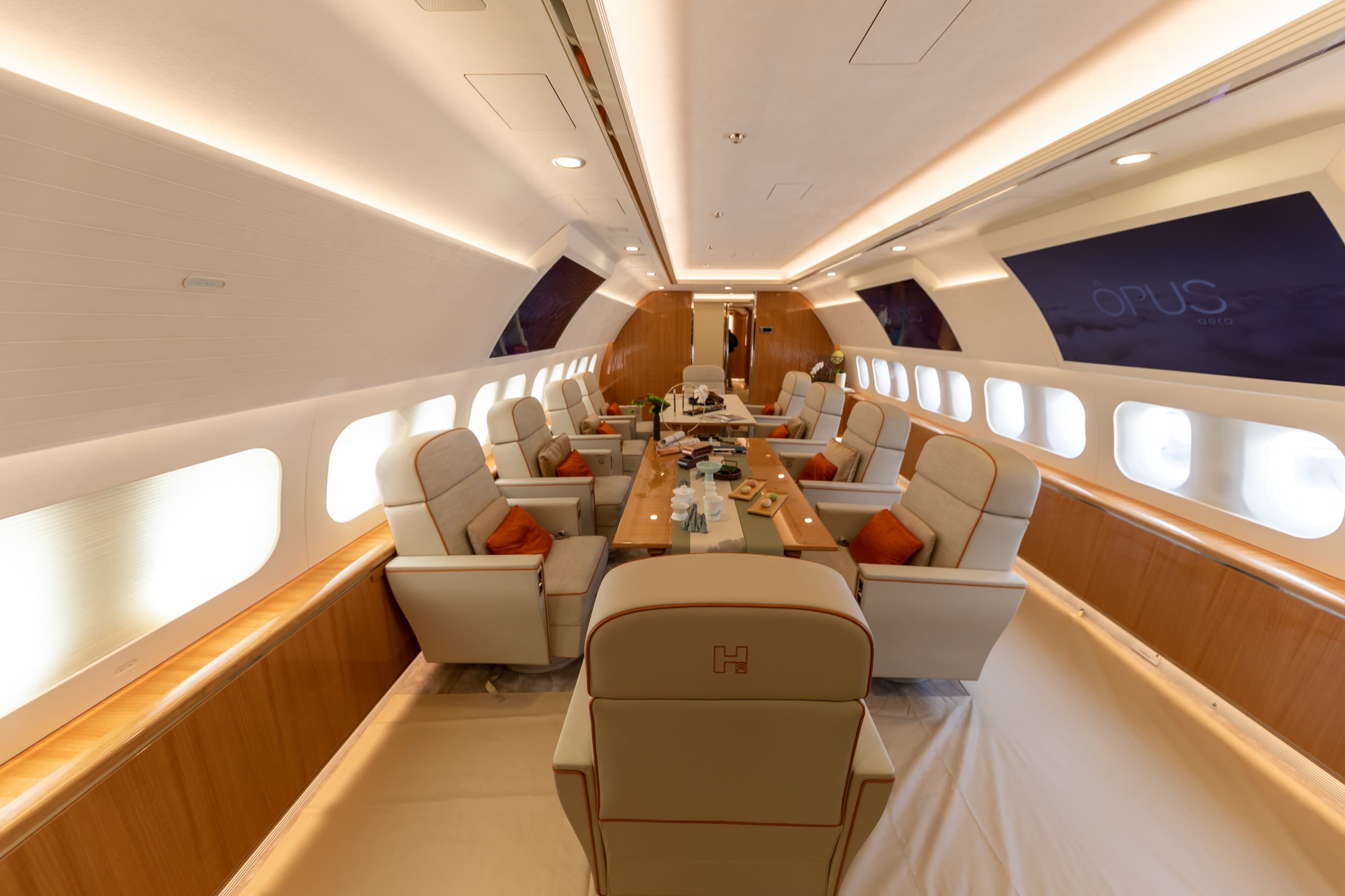 ACJ319neo cabin